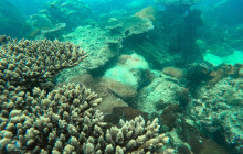 Rooty Trip Phu Quoc6
