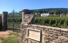 Burgundy Discovery2