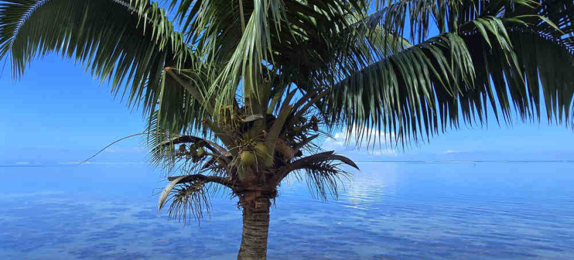 Tahiti Half Day Small Group Circle Island Tour