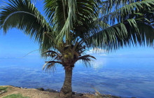 Tahiti Welcome Tours1