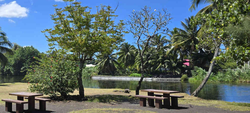 Tahiti Half Day Small Group Circle Island Tour