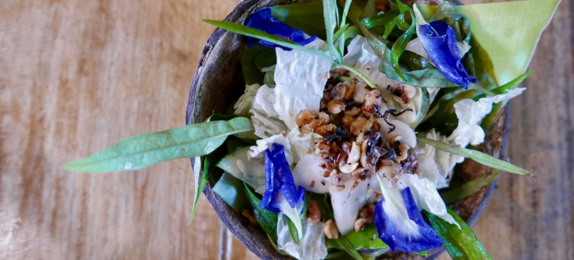 Sustainable Farm-To-Table Cooking Experience at a Filipino Beach Resort