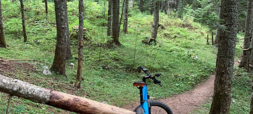 Durmitor eBike Tour: Lakes, Forests & Panoramic Mountain Views