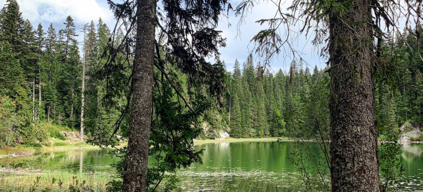 Durmitor eBike Tour: Tara Canyon, Black Lake & Scenic Trails
