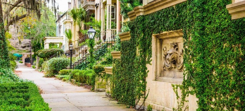 Historic Savannah Cruise