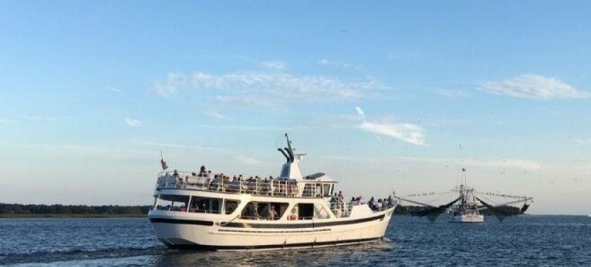 Ocean Dolphin Cruise