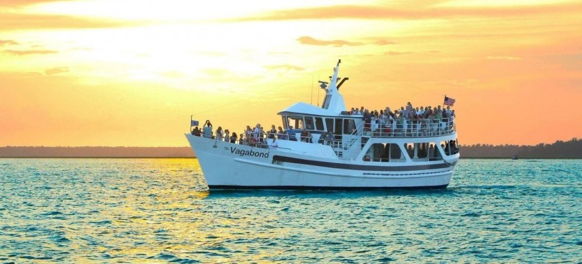 Sunset Dolphin Cruise