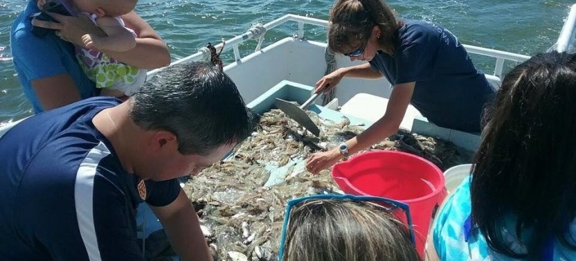 Shrimping Expedition