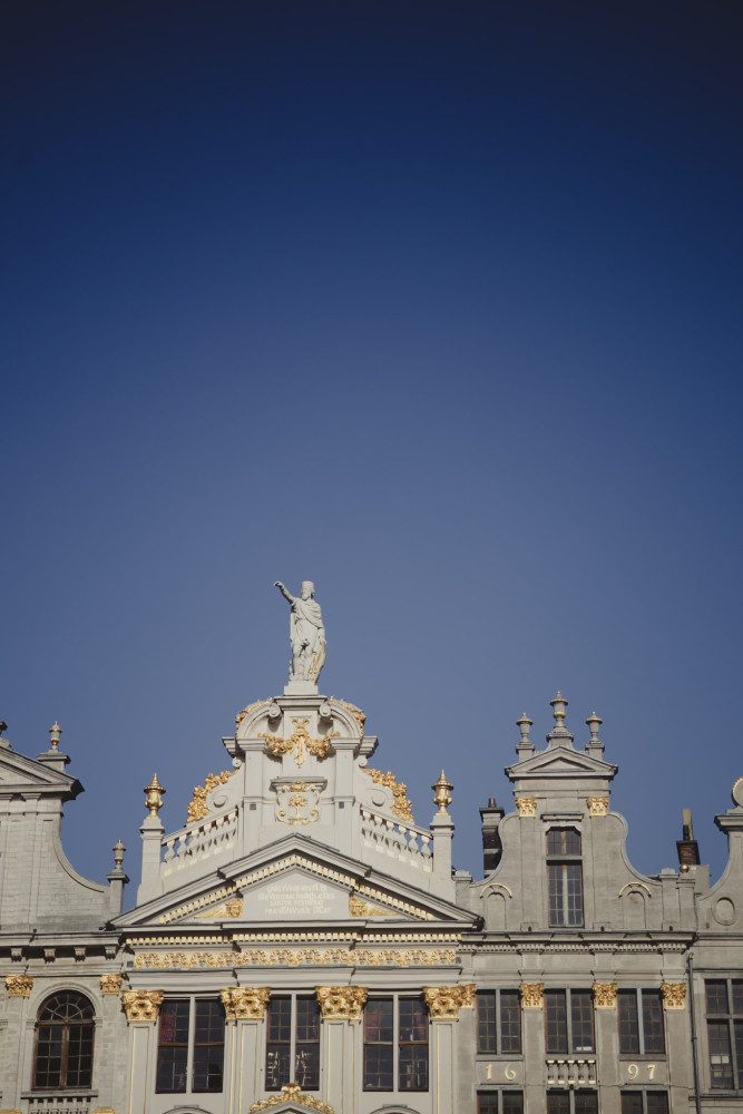 Discover Brussels with a Local Expert - Easy & Fun Way to Explore
