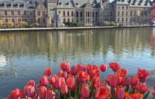 Dutch Cultural Journeys6