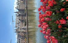 Dutch Cultural Journeys4
