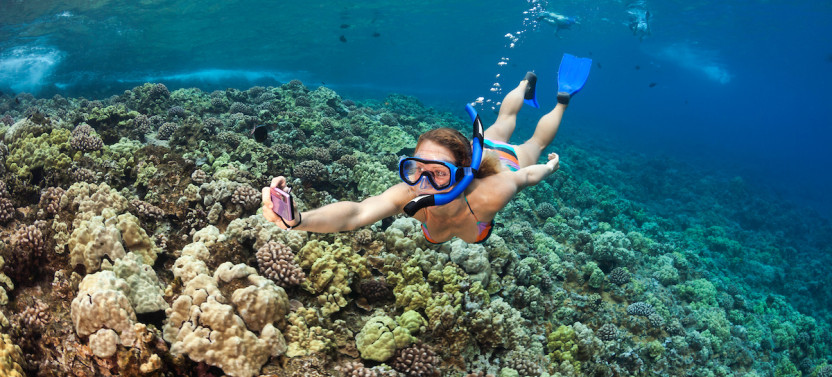 Lanai Snorkel & Dolphin Sail - Lahaina