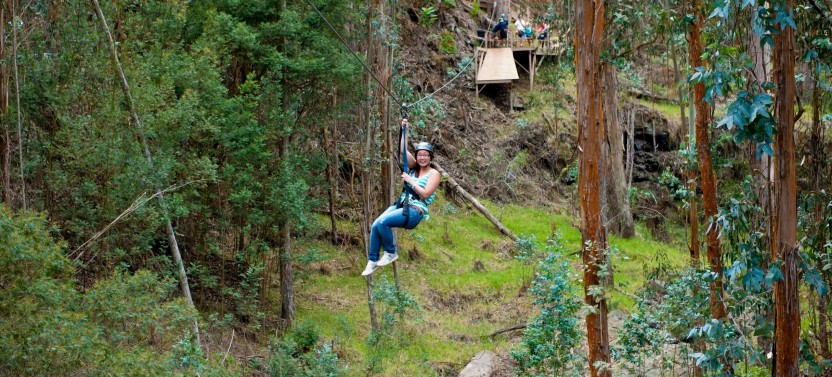 Haleakala 6 Line Zipline Adventure