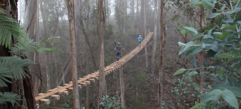Haleakala 6 Line Zipline Adventure