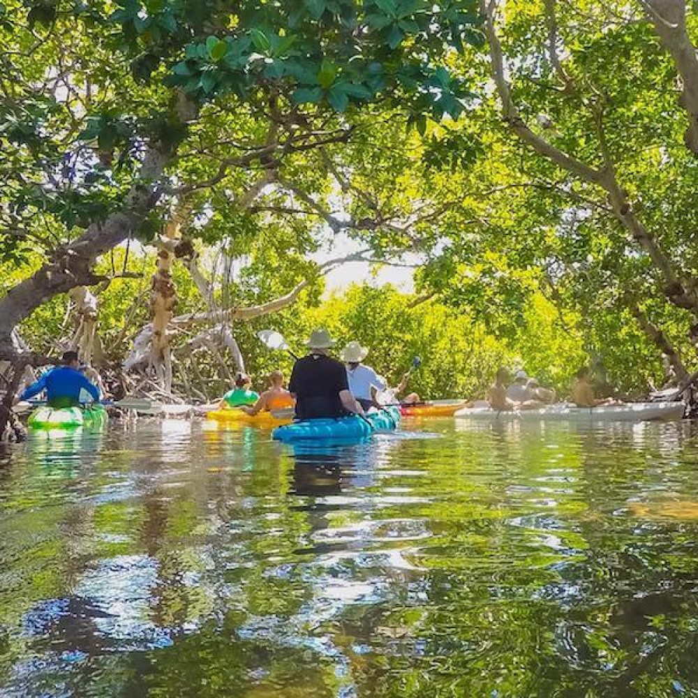 Island 'Ting Eco Tour with Kayaking, Snorkeling & Sailing Key West