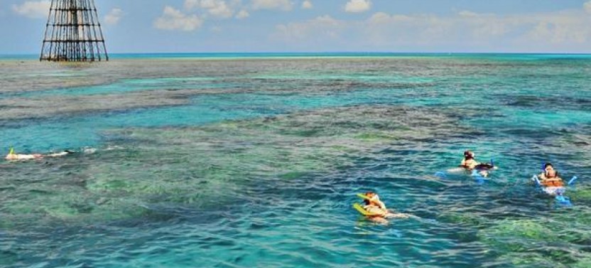Key West Reef Afternoon Snorkel with Open Bar