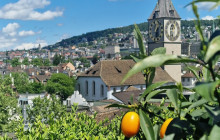 The Zurich Insider12