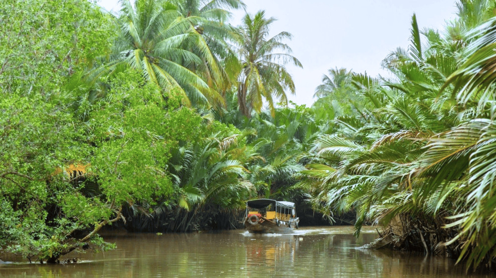 3-Day Mekong Delta Trip Exploring Ben Tre, Can Tho, and An Giang