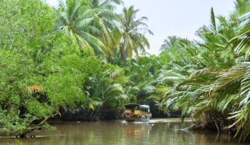 A picture of 3-Day Mekong Delta Trip Exploring Ben Tre, Can Tho, and An Giang