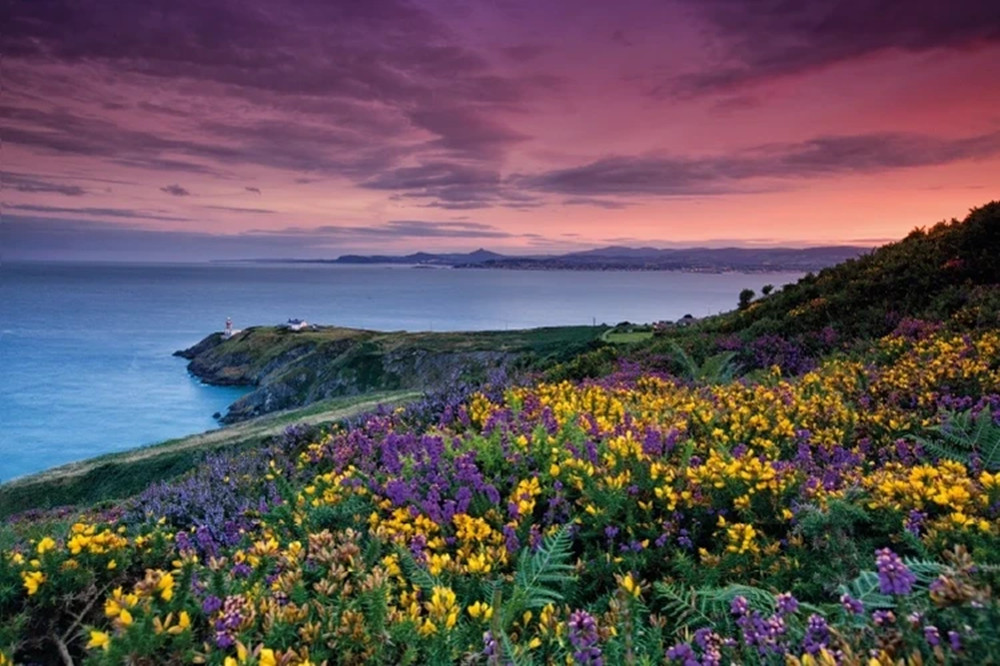Howth Coastal Tour