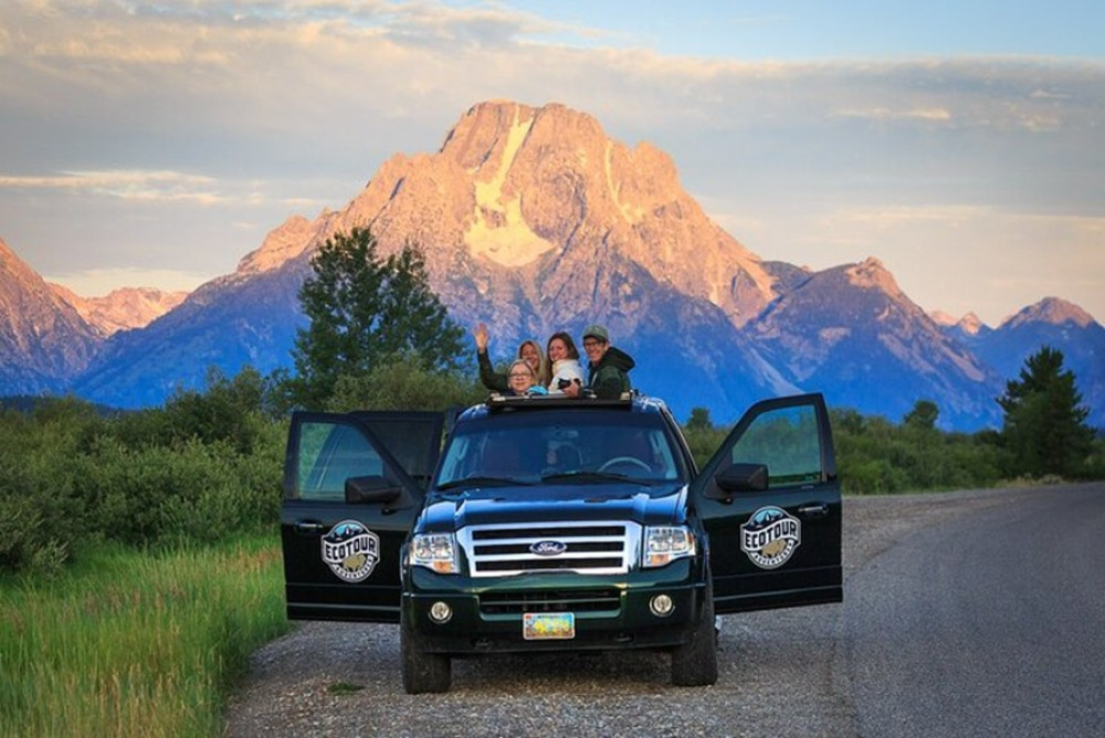 Wildlife Expeditions