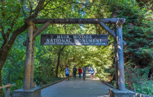 Dylan's Tours59