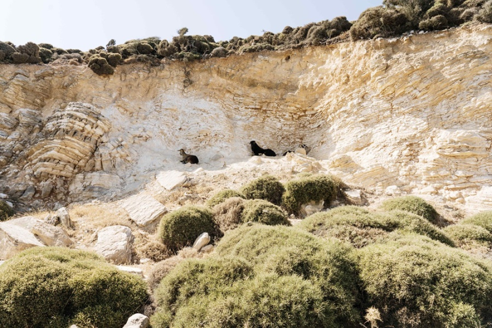 Dream Blue Amorgos