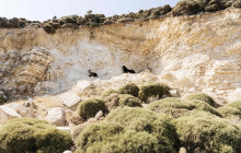 Dream Blue Amorgos8