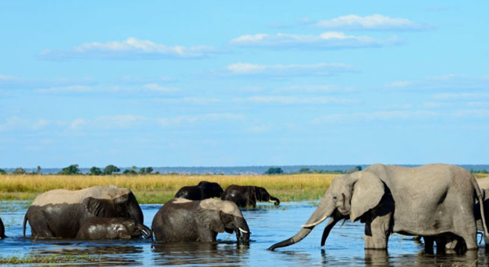 8 Days Victoria Falls to Okavango Delta Camping Safari Tour