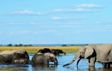 Africa Beast Safaris1