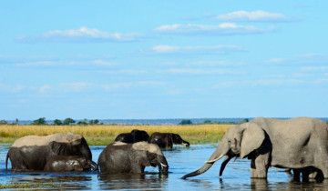 A picture of 8 Days Victoria Falls to Okavango Delta Camping Safari Tour