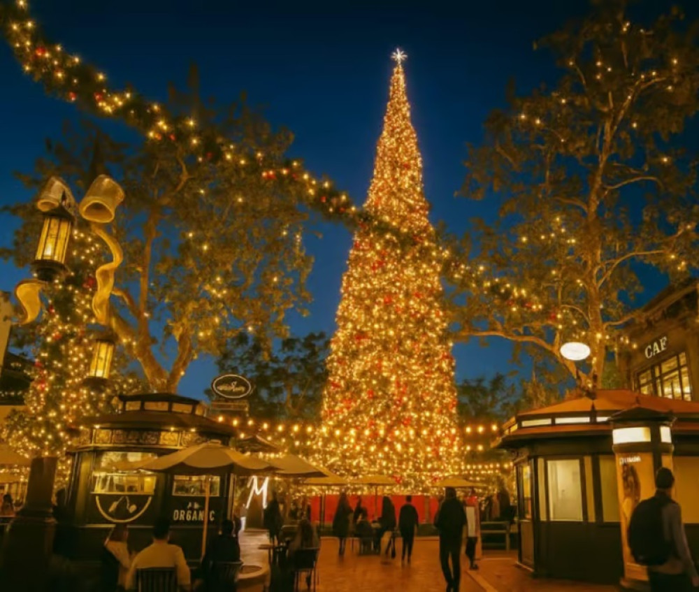 Starline Tours of Hollywood