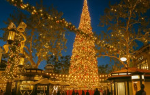 Starline Tours of Hollywood20