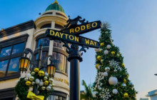 Starline Tours of Hollywood18