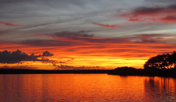 A picture of 5 Days Victoria Falls and Hwange National Park Middle Budget Safari Tour