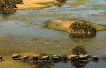 Africa Beast Safaris10