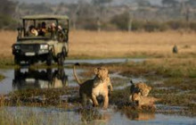 Africa Beast Safaris7