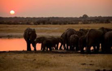 Africa Beast Safaris1