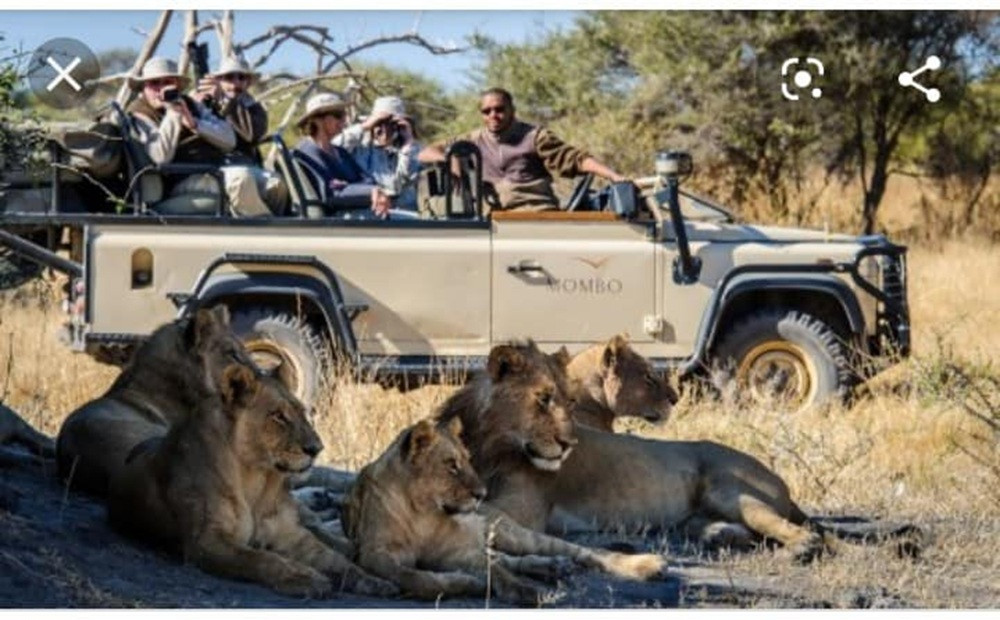 5 Days Drift Inn Lodge Victoria Falls + Chobe Day Trip Safari Tour