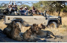 Africa Beast Safaris13