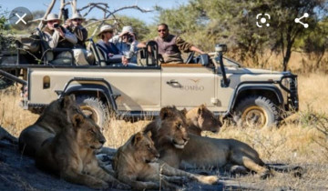 A picture of 5 Days Drift Inn Lodge Victoria Falls + Chobe Day Trip Safari Tour