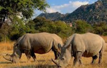 Africa Beast Safaris16