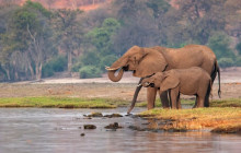 Africa Beast Safaris14