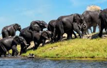 Africa Beast Safaris3