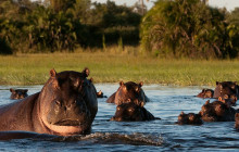 Africa Beast Safaris17