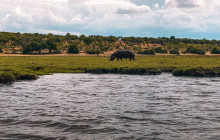 Africa Beast Safaris18