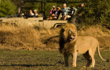 Africa Beast Safaris5
