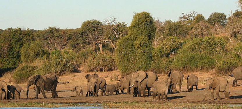 8 Days Okavango Delta to Victoria Falls Accommodated Safari Tour