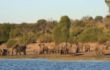 Africa Beast Safaris2