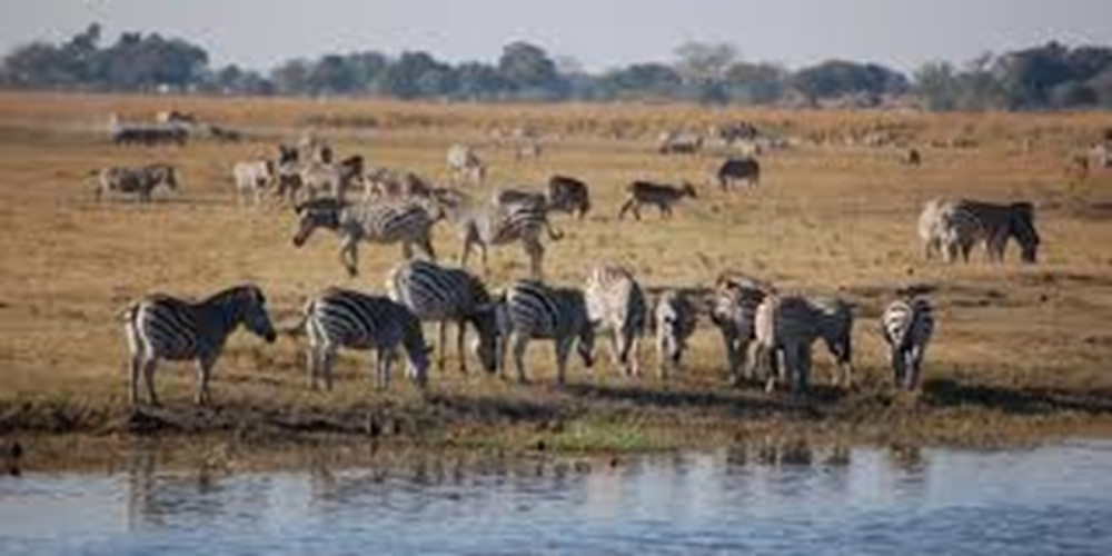 Africa Beast Safaris
